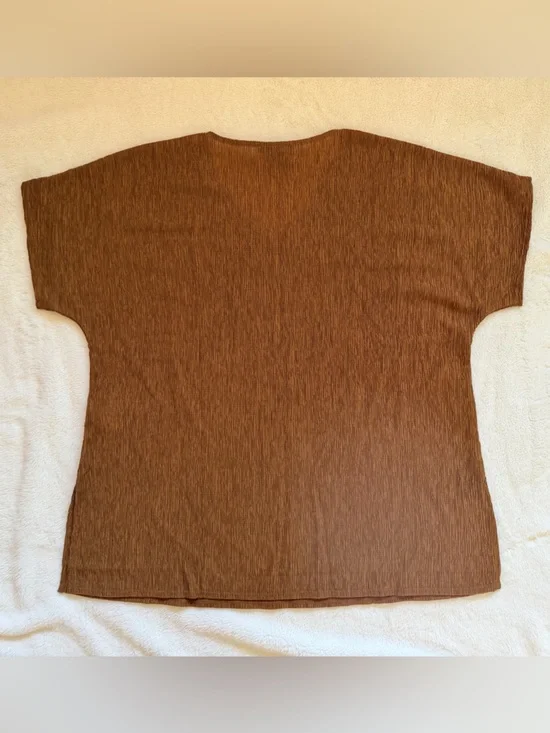 Eileen Fisher V-Neck Dolman Sleeve Tunic - Bronze - Medium - Tencel - Picture 10 of 11